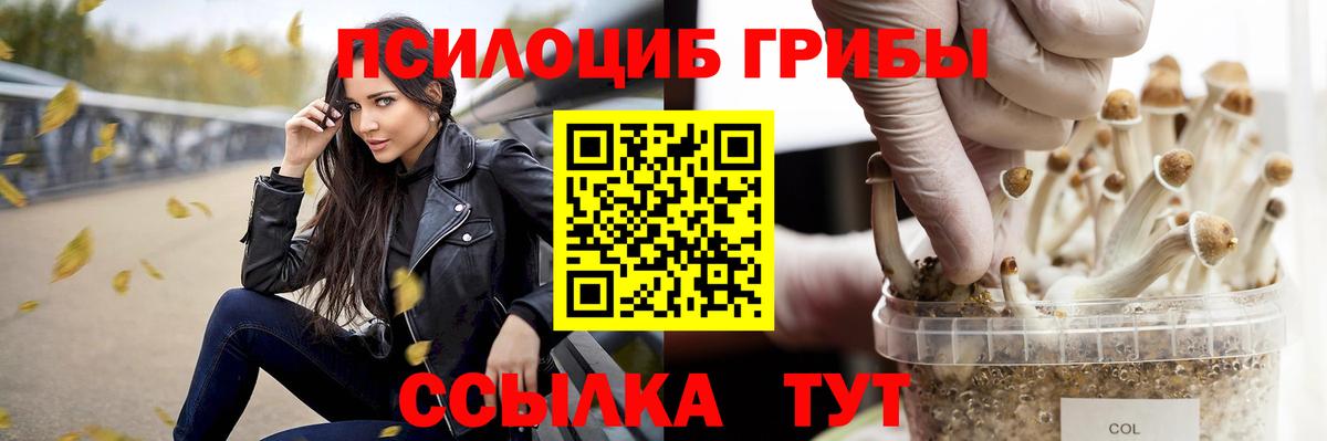 Людиново  Галлюциногенные грибы Psilocybe  Вход с VPN  Галлюциногенные грибы GOLDEN TEACHER 